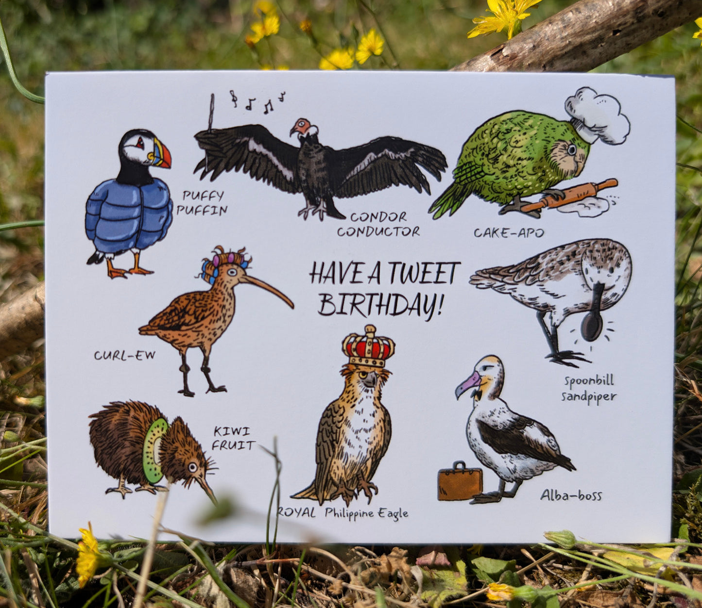 Funny Bird Birthday Card - Have a Tweet Birthday | Rare Species