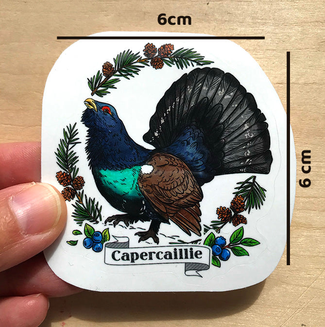 Capercaillie sticker