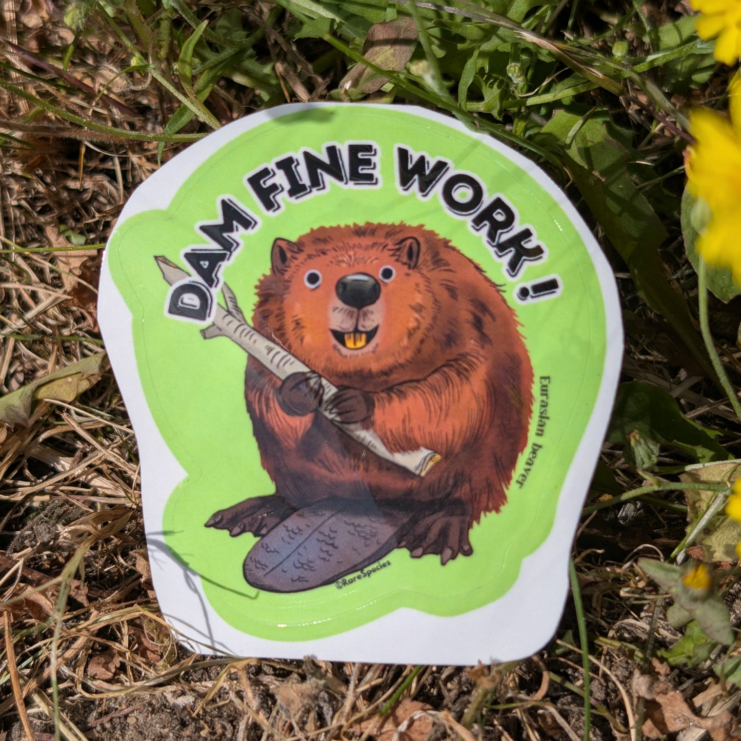 Dam Fine Work sticker