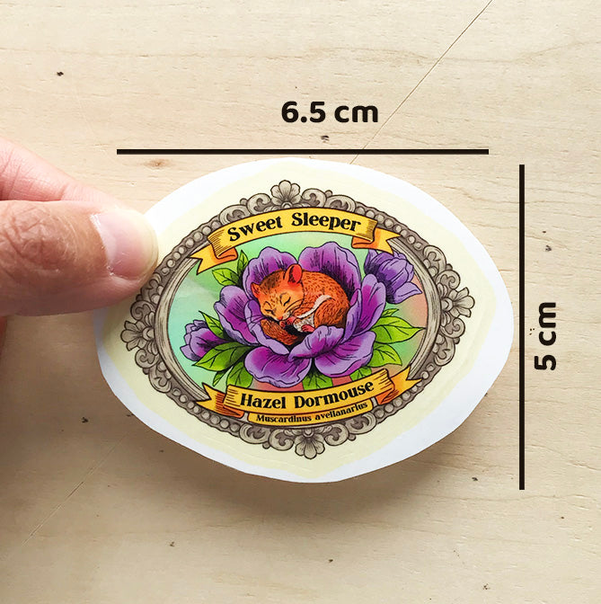Hazel Dormouse sticker