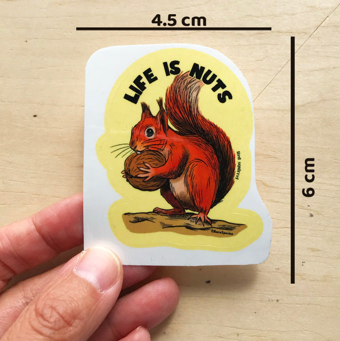 Life is nut sticker