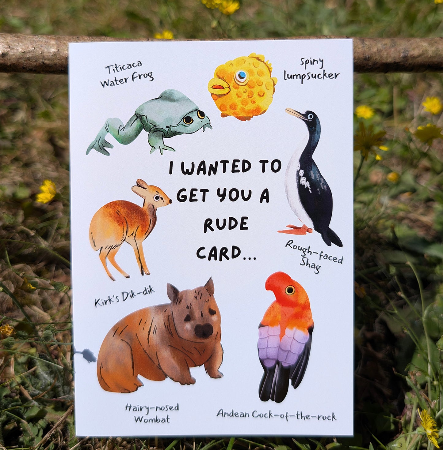 Funny Rude Animal Card | Cheeky Wildlife Birthday Card
