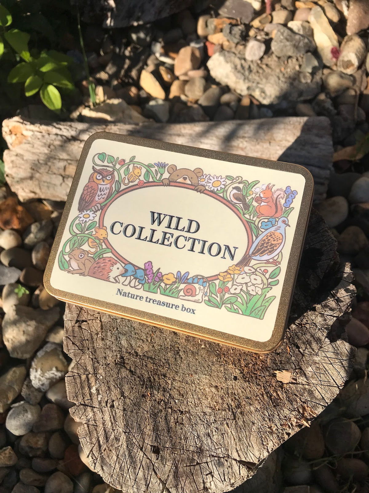 Wild Collection 8-in-1 Travel Game Box | Hand-Illustrated Magnetic Pocket Toy Set (Ages 3+)