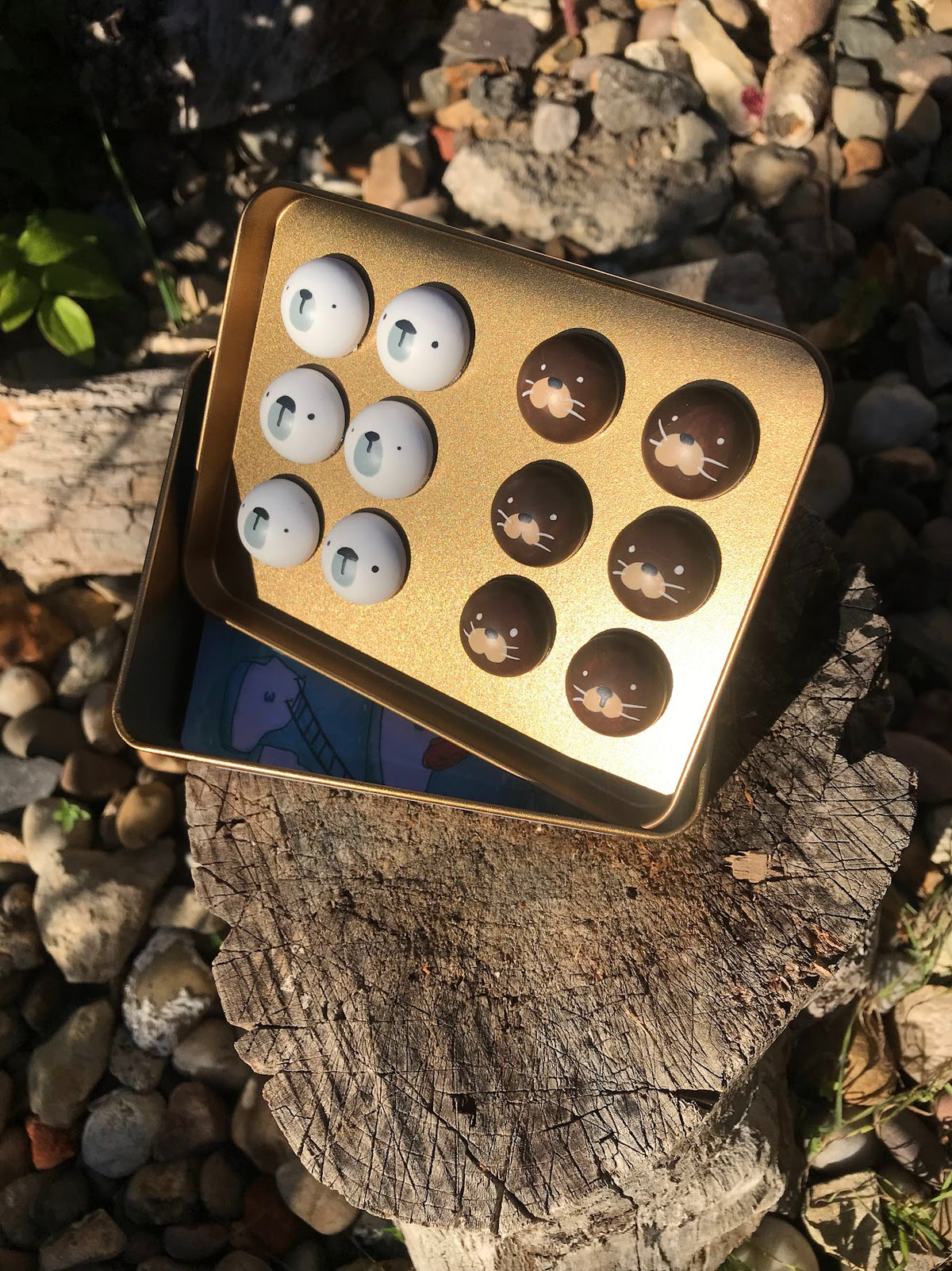 Wild Collection 8-in-1 Travel Game Box | Hand-Illustrated Magnetic Pocket Toy Set (Ages 3+)
