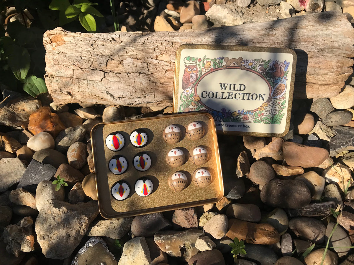 Wild Collection 8-in-1 Travel Game Box | Hand-Illustrated Magnetic Pocket Toy Set (Ages 3+)