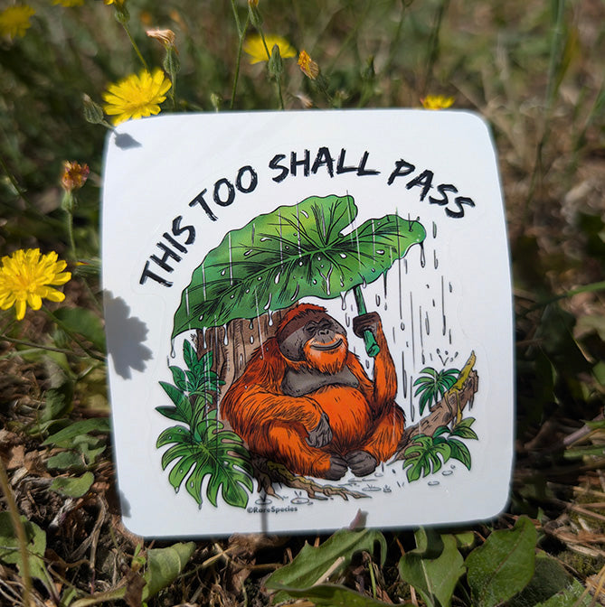 Orangutan This too shall pass sticker