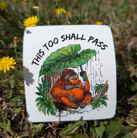 Orangutan This too shall pass sticker