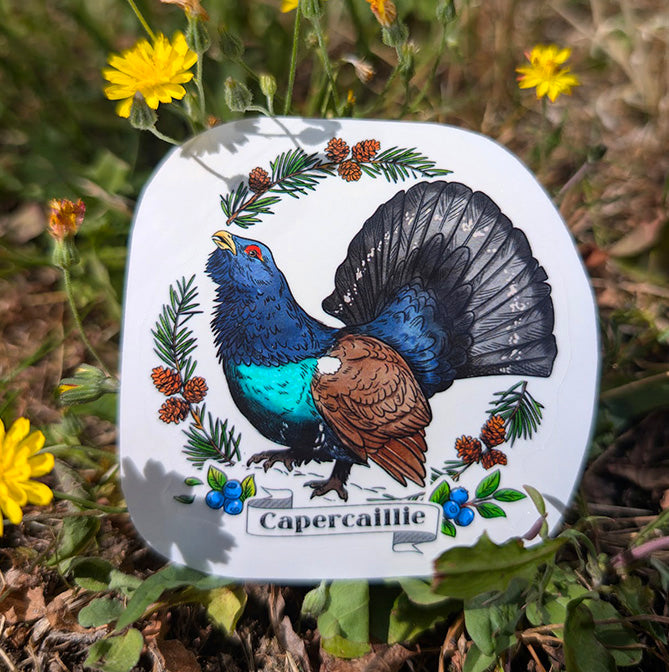 Capercaillie sticker