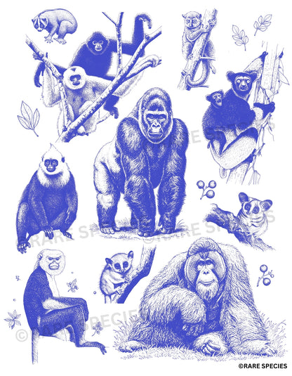 Endangered primates comfort color T-Shirt