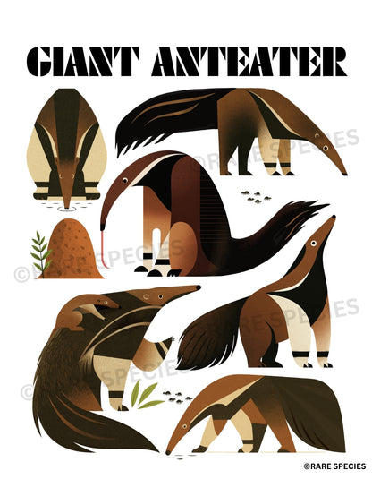 Giant Anteater Graphic TShirt Cute Wildlife Tee