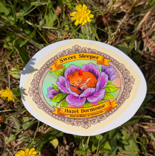 Hazel Dormouse sticker