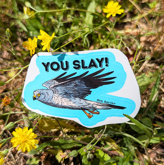Hen Harrier you slay sticker