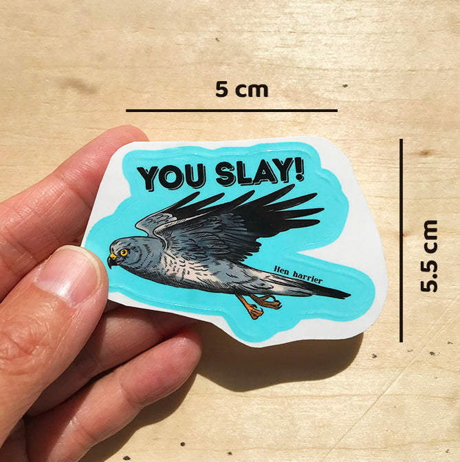 Hen Harrier you slay sticker