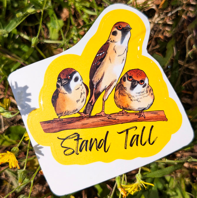 House Sparrow Stand Tall sticker