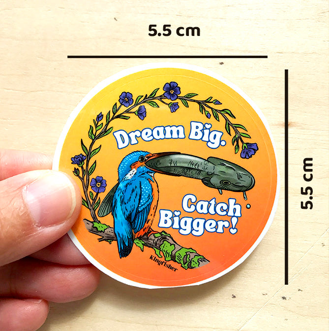 Kingfisher Dream big catch bigger sticker