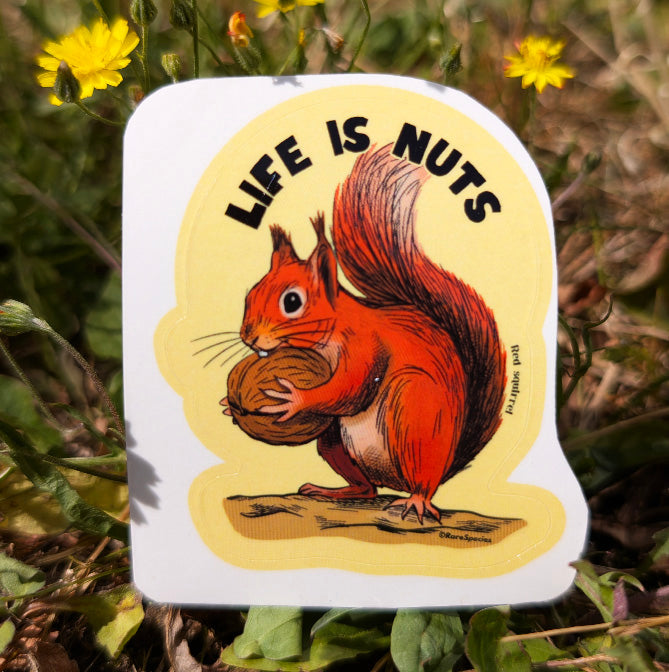 Life is nut sticker