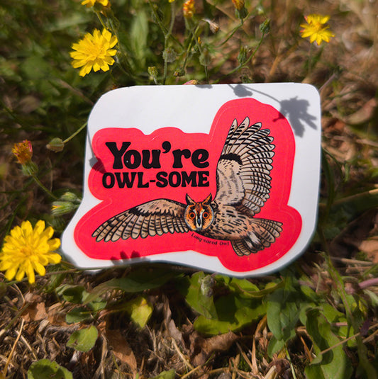 Owl You're Owl-some sticker