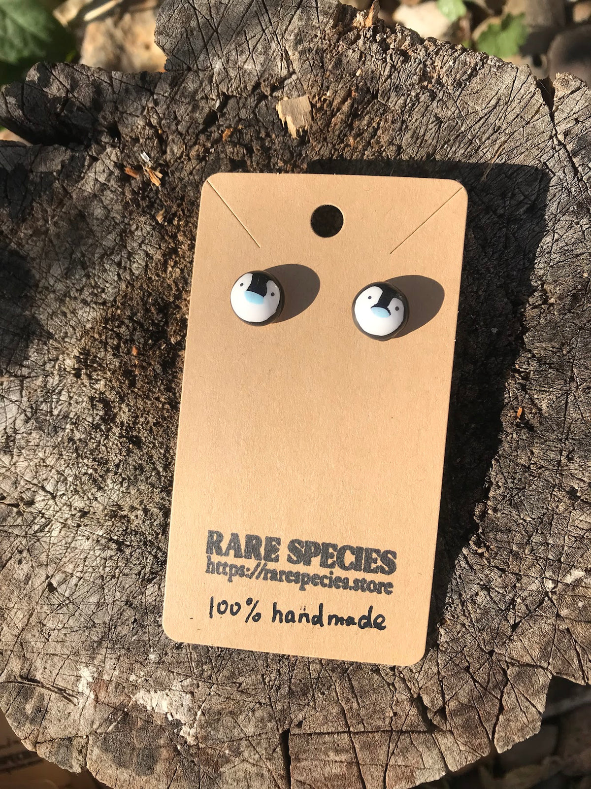 Hand-Painted Seal Stud Earrings | Cute Animal Lover Gift & Hypoallergenic Resin Jewellery (UK Stock)