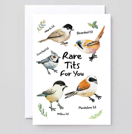 Rare Tits For You Card | Funny British Bird Watcher Greeting Card