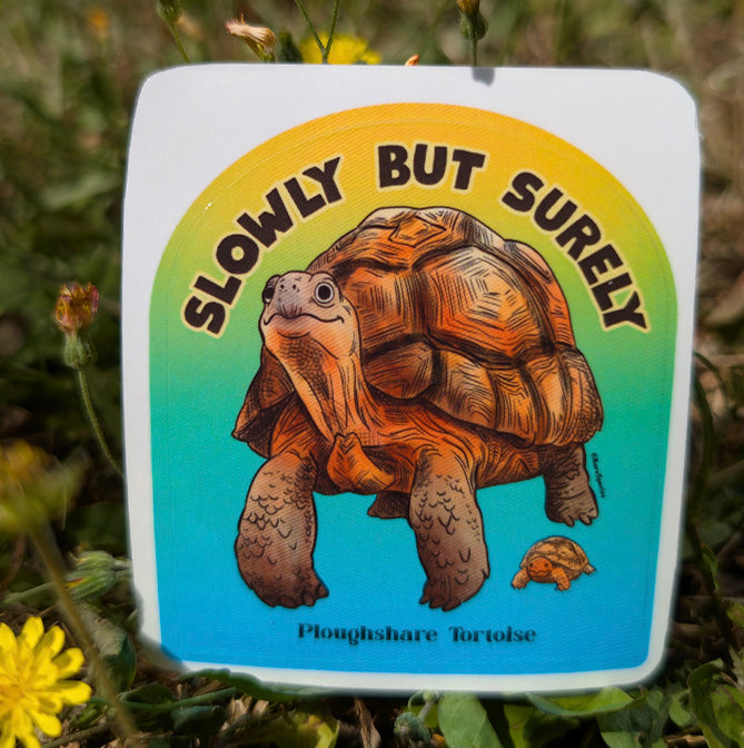 Tortoise slowly but surely sticker