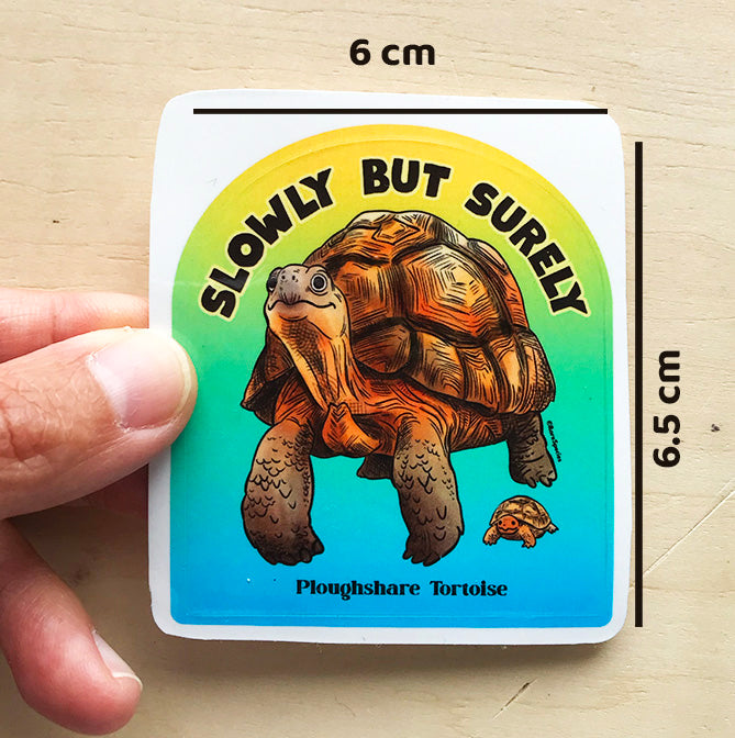 Tortoise slowly but surely sticker