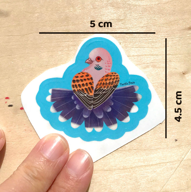 Turtle Dave sticker