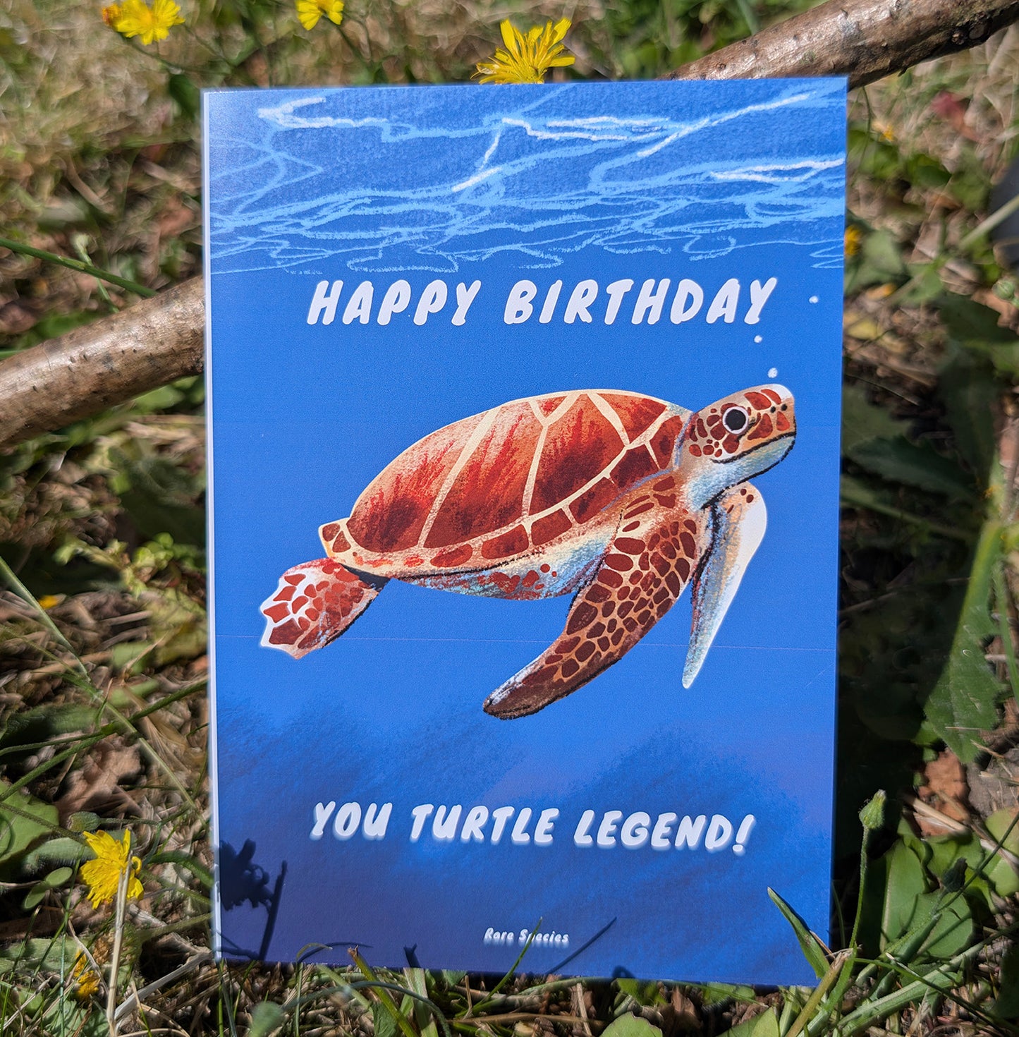 Funny Sea Turtle Birthday Card - You Turtle Legend Greeting Card