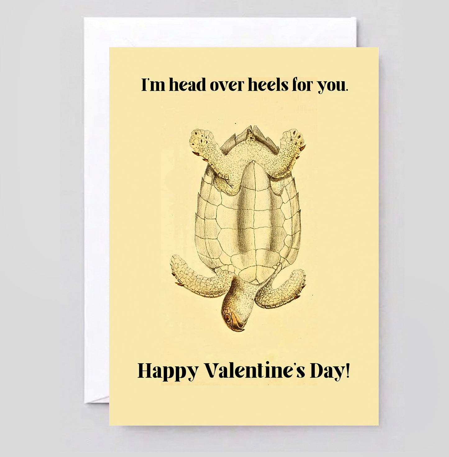 Funny Turtle Valentine's Day Card | Head Over Heels Love Anniversary Card