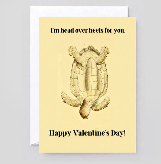 Funny Turtle Valentine's Day Card | Head Over Heels Love Anniversary Card