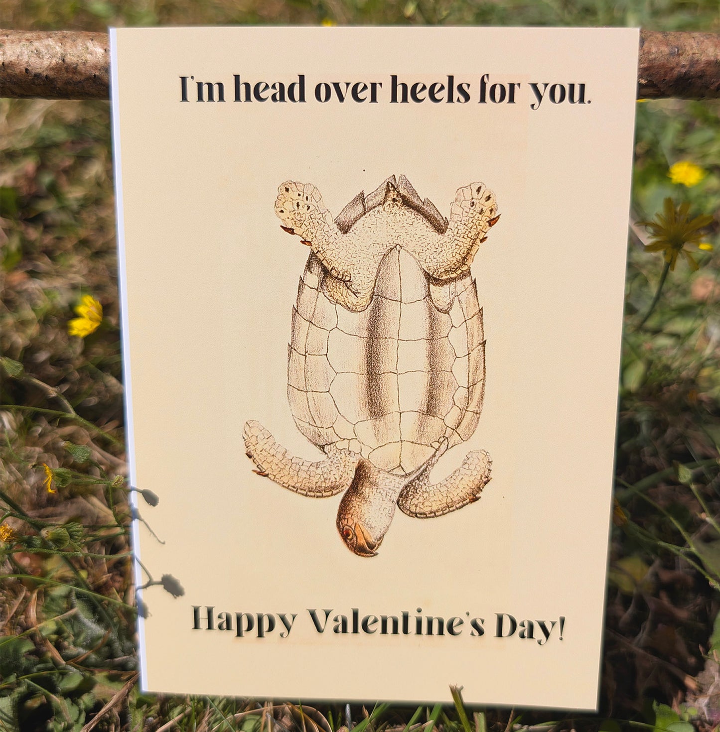 Funny Turtle Valentine's Day Card | Head Over Heels Love Anniversary Card