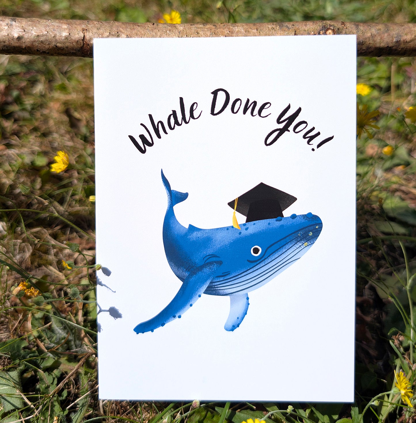 Whale Done You Graduation Card | Funny Congratulations Card