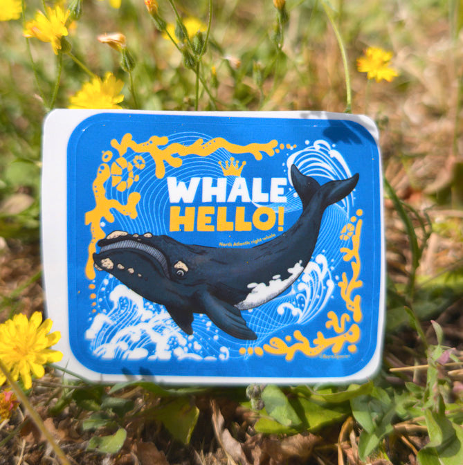 Whale Hello sticker