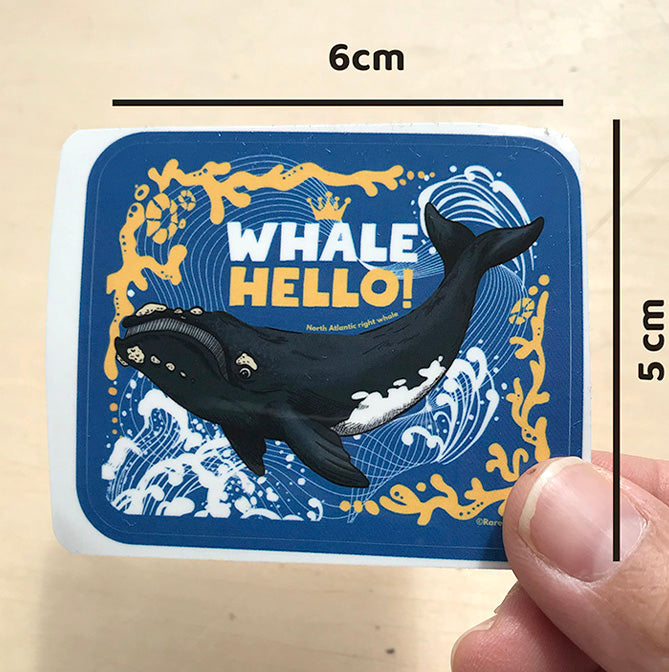 Whale Hello sticker